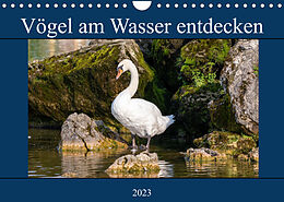 Kalender Vögel am Wasser entdecken (Wandkalender 2023 DIN A4 quer) von Teresa Bauer