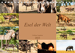 Kalender Esel der Welt - Lieblings Langohren (Tischkalender 2023 DIN A5 quer) von Meike Bölts