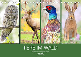 Kalender Tiere im Wald. Bezaubernde Begegnungen (Tischkalender 2023 DIN A5 quer) von Rose Hurley