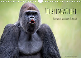 Kalender Lieblingstiere - Schönheiten aus dem Tierreich (Wandkalender 2023 DIN A4 quer) von Bettina Dittmann