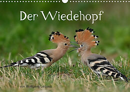 Kalender Der Wiedehopf (Wandkalender 2023 DIN A3 quer) von Wolfgang Lequen