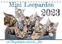 Kalender Mini Leoparden - mit Bengalkätzchen durch das Jahr (Tischkalender 2023 DIN A5 quer) von Bethari - Sylke Enderlein