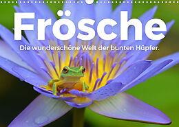 Kalender Frösche - Die wunderschöne Welt der bunten Hüpfer. (Wandkalender 2023 DIN A3 quer) von M. Scott