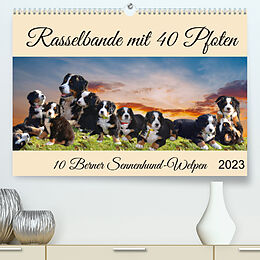 Kalender Rasselbande mit 40 Pfoten (Premium, hochwertiger DIN A2 Wandkalender 2023, Kunstdruck in Hochglanz) von Claudia Kleemann