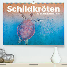 Kalender Schildkröten - Die gepanzerten Tiere. (Premium, hochwertiger DIN A2 Wandkalender 2023, Kunstdruck in Hochglanz) von M. Scott