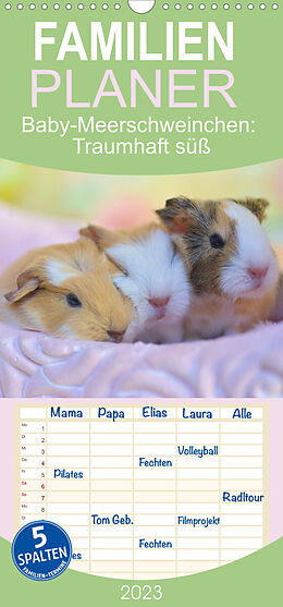 Kalender Familienplaner BABY Meerschweinchen Traumhaft süß (Wandkalender 2023 , 21 cm x 45 cm, hoch) von Sabine Hampe-Neves