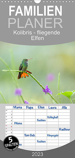 Kalender Familienplaner Kolibris - fliegende Elfen (Wandkalender 2023 , 21 cm x 45 cm, hoch) von Falko Düsterhöft