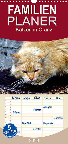 Kalender Familienplaner Katzen in Cranz (Wandkalender 2023 , 21 cm x 45 cm, hoch) von Henning von Löwis of Menar