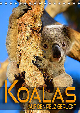 Kalender Koalas auf den Pelz gerückt (Tischkalender 2023 DIN A5 hoch) von Renate Utz