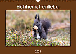 Kalender Eichhörnchenliebe (Wandkalender 2023 DIN A3 quer) von Teresa Bauer