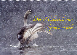 Kalender Der Höckerschwan elegant und stolz (Wandkalender 2023 DIN A2 quer) von Wilfried Martin (GDT)