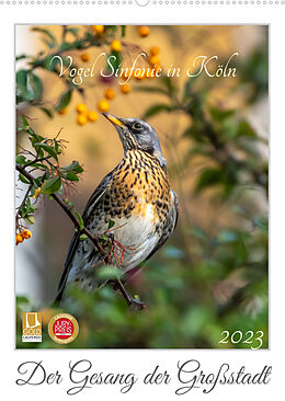 Kalender Vogel Sinfonie in Köln (Wandkalender 2023 DIN A2 hoch) von Antje Rosenthal