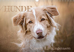 Kalender Hunde - Unsere Lieblingsnasen (Wandkalender 2023 DIN A3 quer) von Tierfotografie Andreas Kossmann