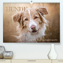 Kalender Hunde - Unsere Lieblingsnasen (Premium, hochwertiger DIN A2 Wandkalender 2023, Kunstdruck in Hochglanz) von Tierfotografie Andreas Kossmann