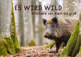 Kalender ES WIRD WILD Wildtiere von klein bis groß (Wandkalender 2023 DIN A3 quer) von Angela Merk