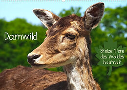 Kalender Damwild - stolze Tiere des Waldes hautnah (Wandkalender 2023 DIN A2 quer) von Marion Meyer - Stimmungsbilder1