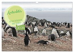 Kalender Antarktis Auf der Entdeckung ihrer Tierwelt (Wandkalender 2024 DIN A3 quer), CALVENDO Monatskalender von Alain Gaymard
