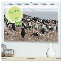 Kalender Antarktis Auf der Entdeckung ihrer Tierwelt (hochwertiger Premium Wandkalender 2024 DIN A2 quer), Kunstdruck in Hochglanz von Alain Gaymard