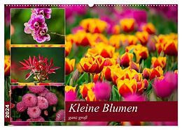 Kalender Kleine Blumen ganz groß (Wandkalender 2024 DIN A2 quer), CALVENDO Monatskalender von M. Reznicek