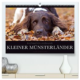 Kalender Faszination Jagdhund - Kleiner Münsterländer (hochwertiger Premium Wandkalender 2024 DIN A2 quer), Kunstdruck in Hochglanz von Nadine Gerlach