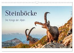 Kalender Steinböcke - Die Könige der Alpen (Wandkalender 2024 DIN A3 quer), CALVENDO Monatskalender von Michaela Kramer