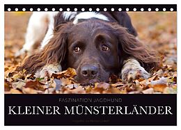 Kalender Faszination Jagdhund - Kleiner Münsterländer (Tischkalender 2024 DIN A5 quer), CALVENDO Monatskalender von Nadine Gerlach