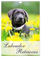 Kalender Labrador Retriever (Wandkalender 2024 DIN A4 hoch), CALVENDO Monatskalender von Nicole Noack
