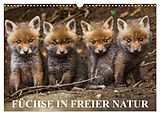 Kalender Füchse in freier Natur (Wandkalender 2024 DIN A3 quer), CALVENDO Monatskalender von Dr. Ulrich Hopp