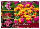 Kalender Kleine Blumen ganz groß (Wandkalender 2024 DIN A4 quer), CALVENDO Monatskalender von M. Reznicek