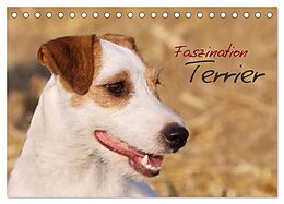 Kalender Faszination Terrier (Tischkalender 2024 DIN A5 quer), CALVENDO Monatskalender von Nadine Gerlach