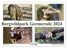 Kalender Bergwildpark Germerode (Wandkalender 2024 DIN A2 quer), CALVENDO Monatskalender von Sabine Löwer