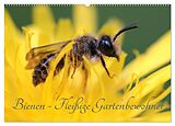 Kalender Bienen - Fleißige Gartenbewohner (Wandkalender 2024 DIN A2 quer), CALVENDO Monatskalender von Silvia Hahnefeld