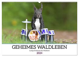 Kalender Geheimes Waldleben (Wandkalender 2024 DIN A2 quer), CALVENDO Monatskalender von Sylvia Süss
