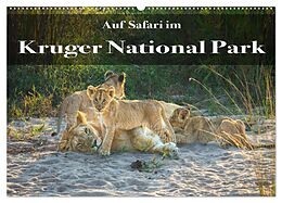 Kalender Auf Safari im Kruger National Park (Wandkalender 2024 DIN A2 quer), CALVENDO Monatskalender von Stephan Henting