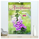 Kalender Arzneipflanzen - heilend und giftig (hochwertiger Premium Wandkalender 2024 DIN A2 hoch), Kunstdruck in Hochglanz von Gisela Kruse