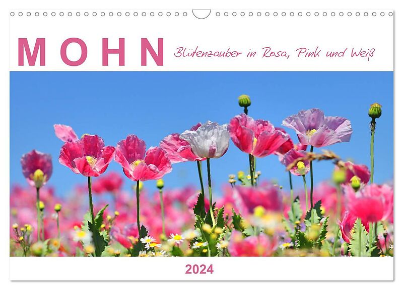 Mohn, Blütenzauber in Rosa, Pink und Weiß (Wandkalender 2024 DIN A3 quer), CALVENDO Monatskalender