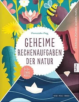 E-Book (epub) Geheime Rechenaufgaben der Natur von Franziska Frey