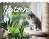 Kalender (Kal) Kalender Katzen 2026 Eintragkalender von 