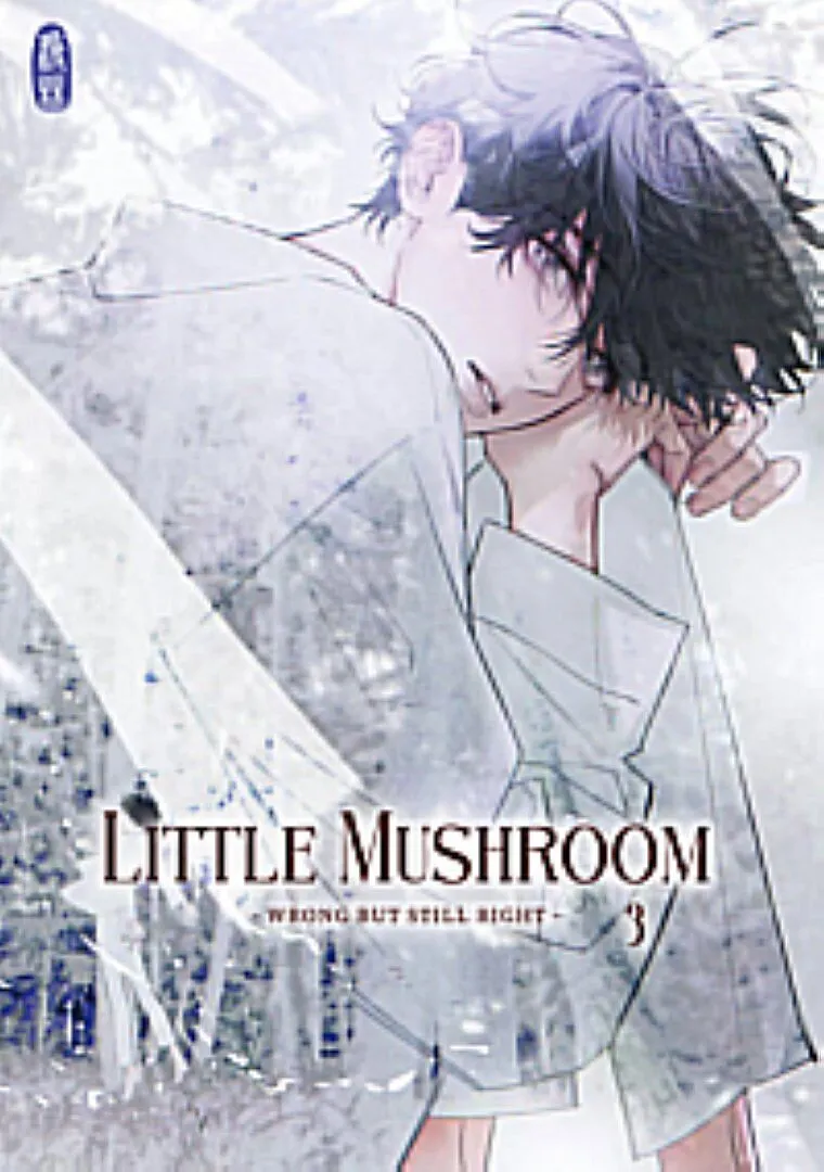 Little Mushroom - wrong but still right 3