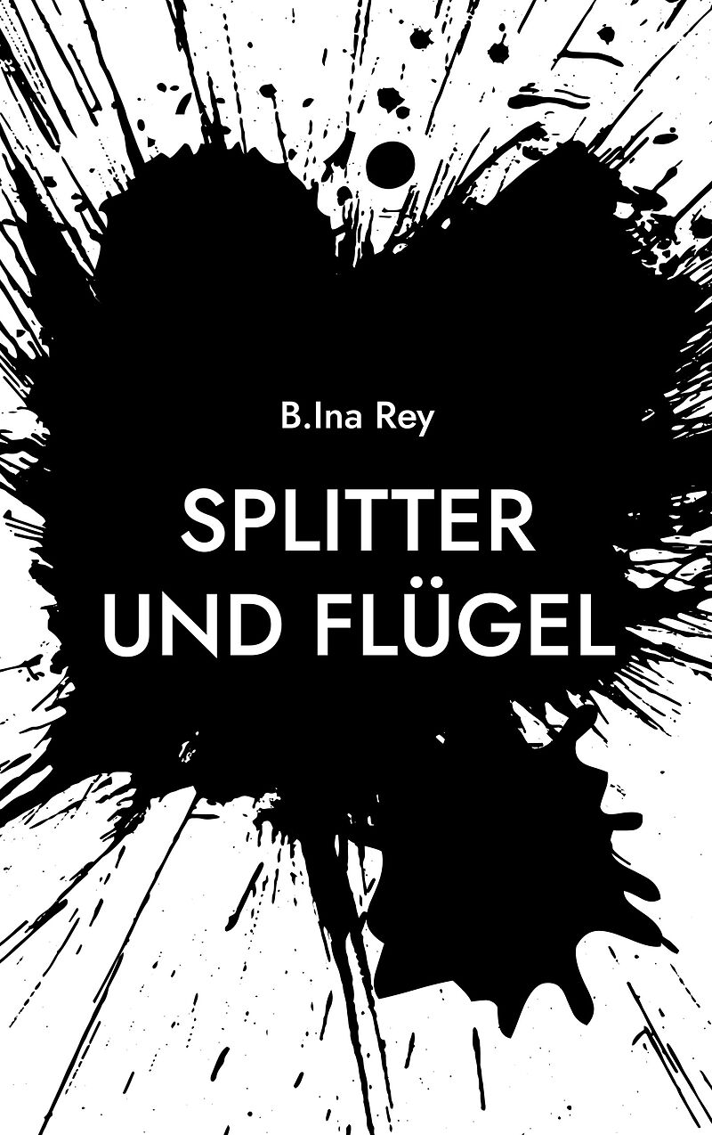 Splitter und Flügel
