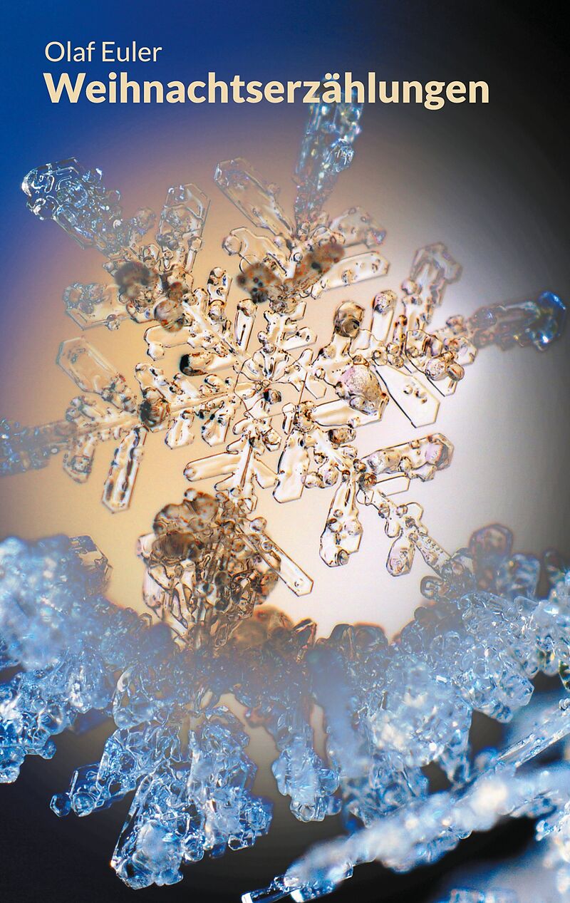 Weihnachtserzählungen