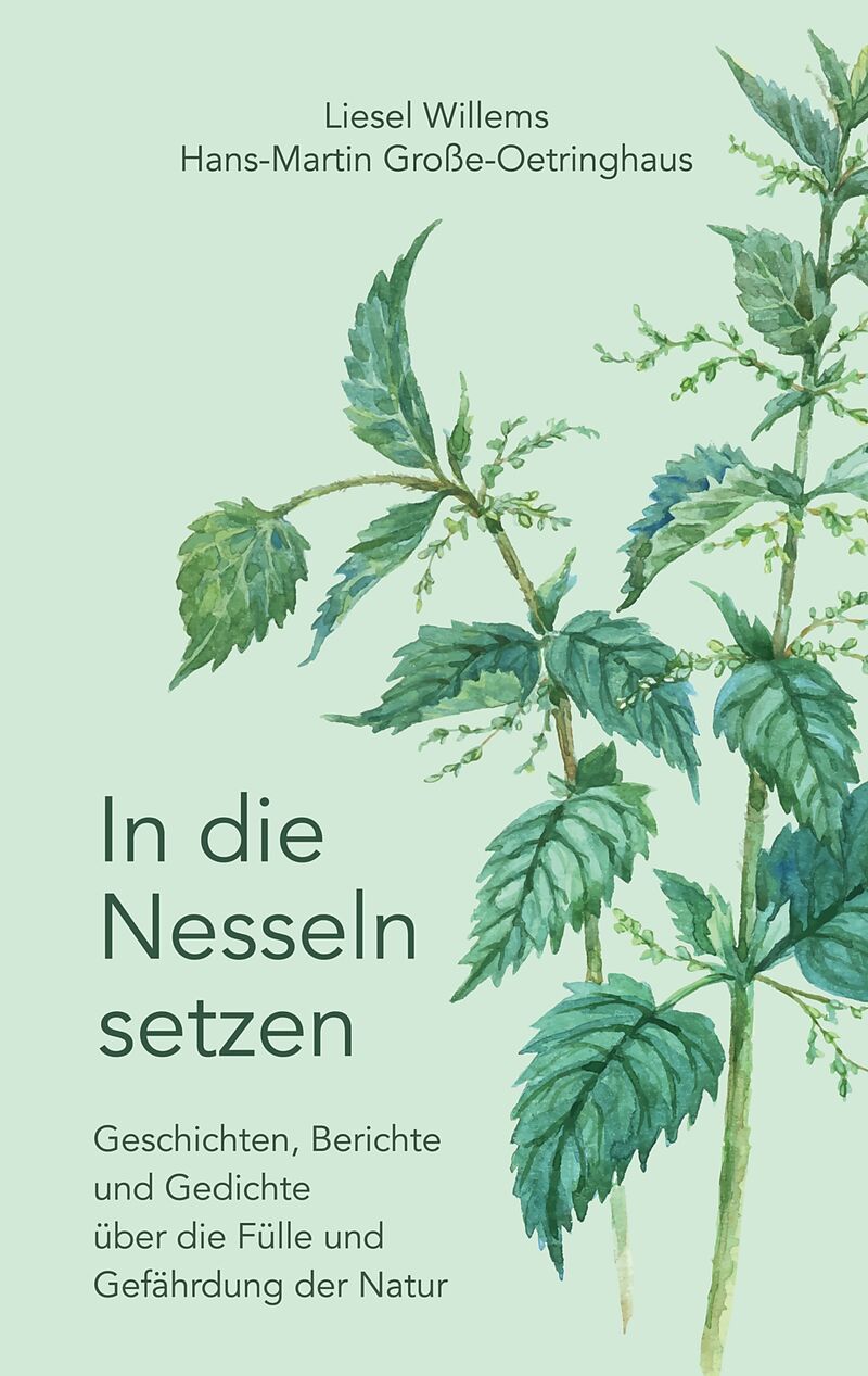 In die Nesseln setzen
