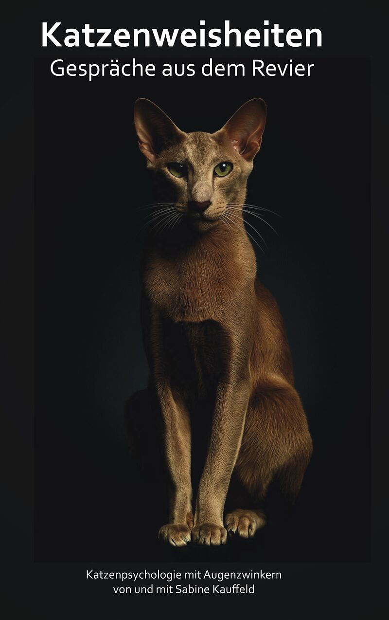 Katzenweisheiten - Gespräche aus dem Revier