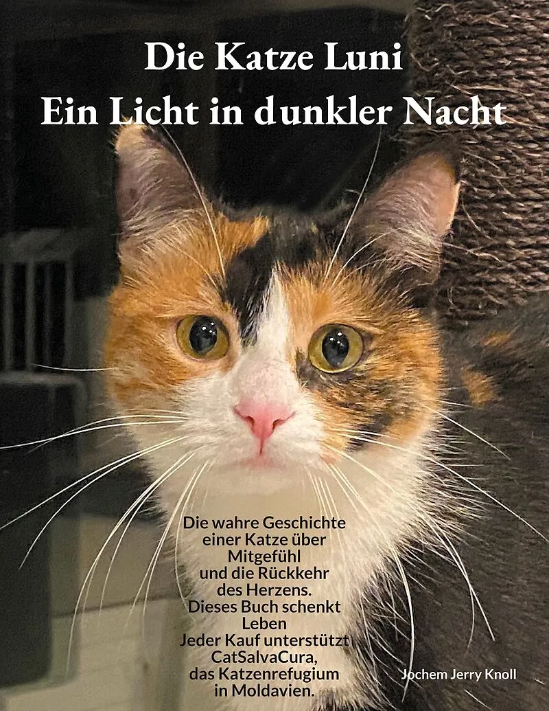Die Katze Luni - Ein Licht in dunkler Nacht