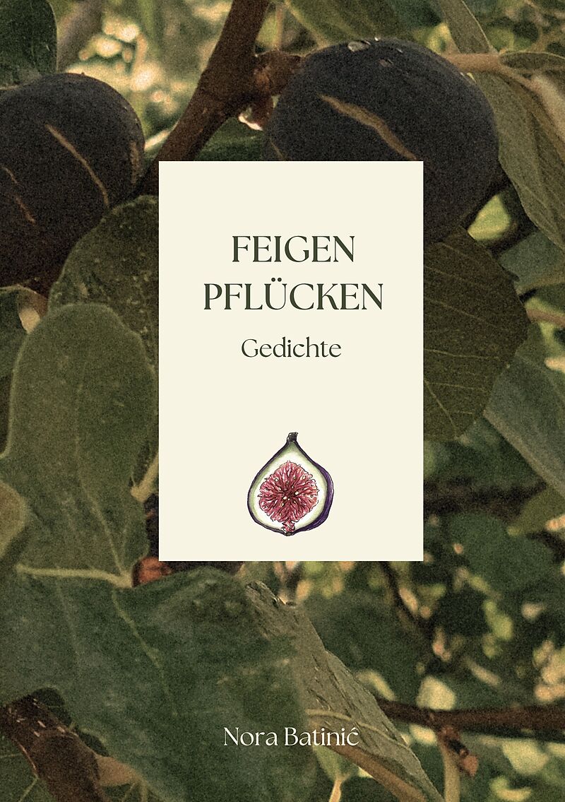 Feigen pflücken