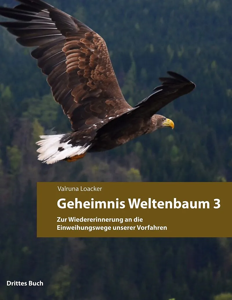 Geheimnis Weltenbaum