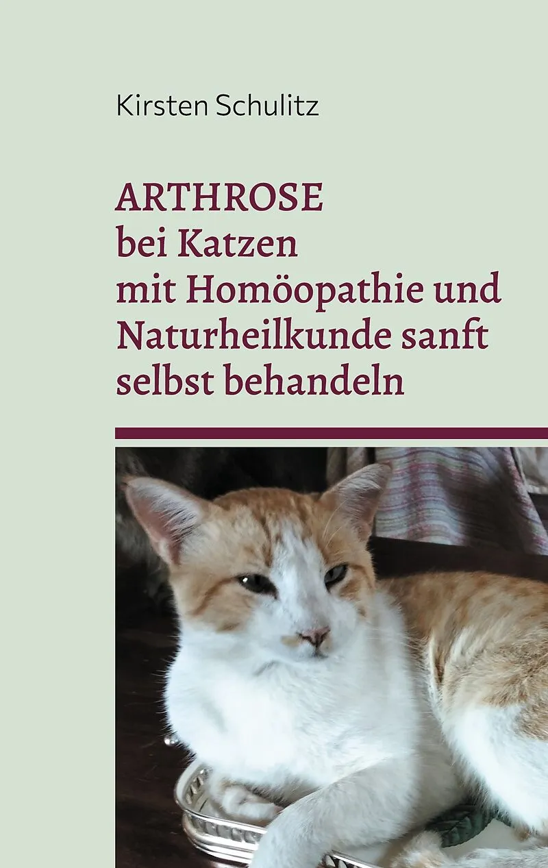 Arthrose bei Katzen mit Homöopathie und Naturheilkunde sanft selbst behandeln