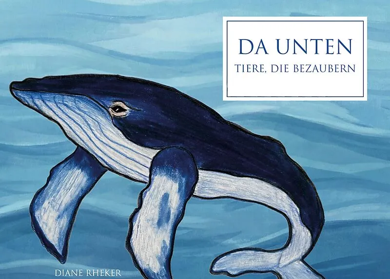 Da unten ...