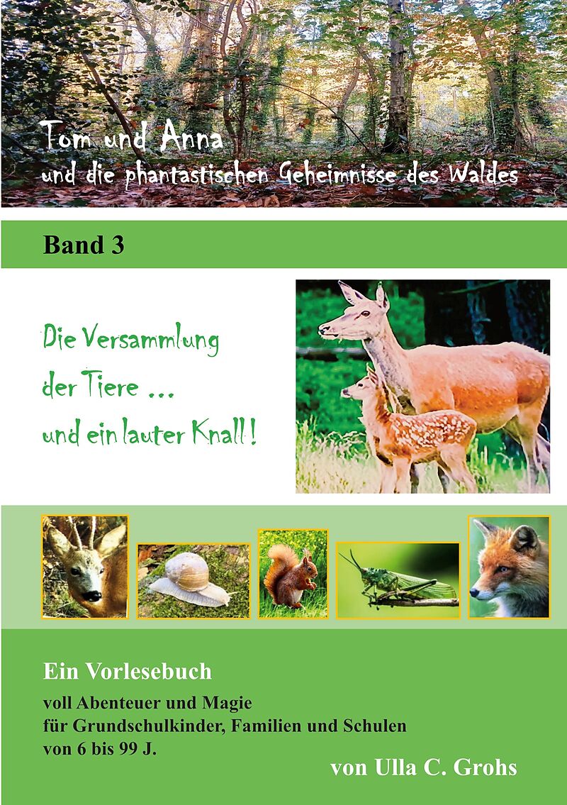 Tom und Anna und die phantastischen Geheimnisse des Waldes