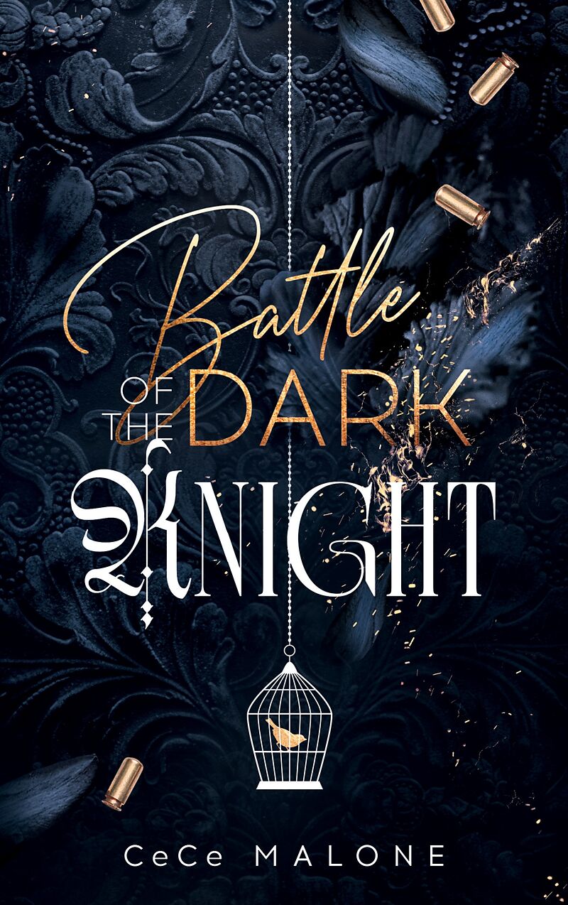 Battle of the dark Knight